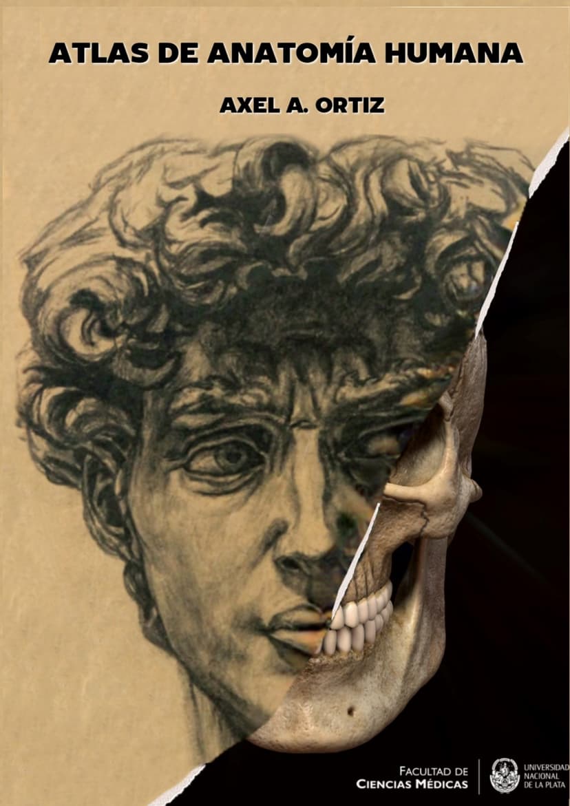 portada libro
